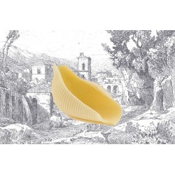 CONCHIGLIONI IGP