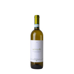 VERDICCHIO DEI CASTELLI DI...